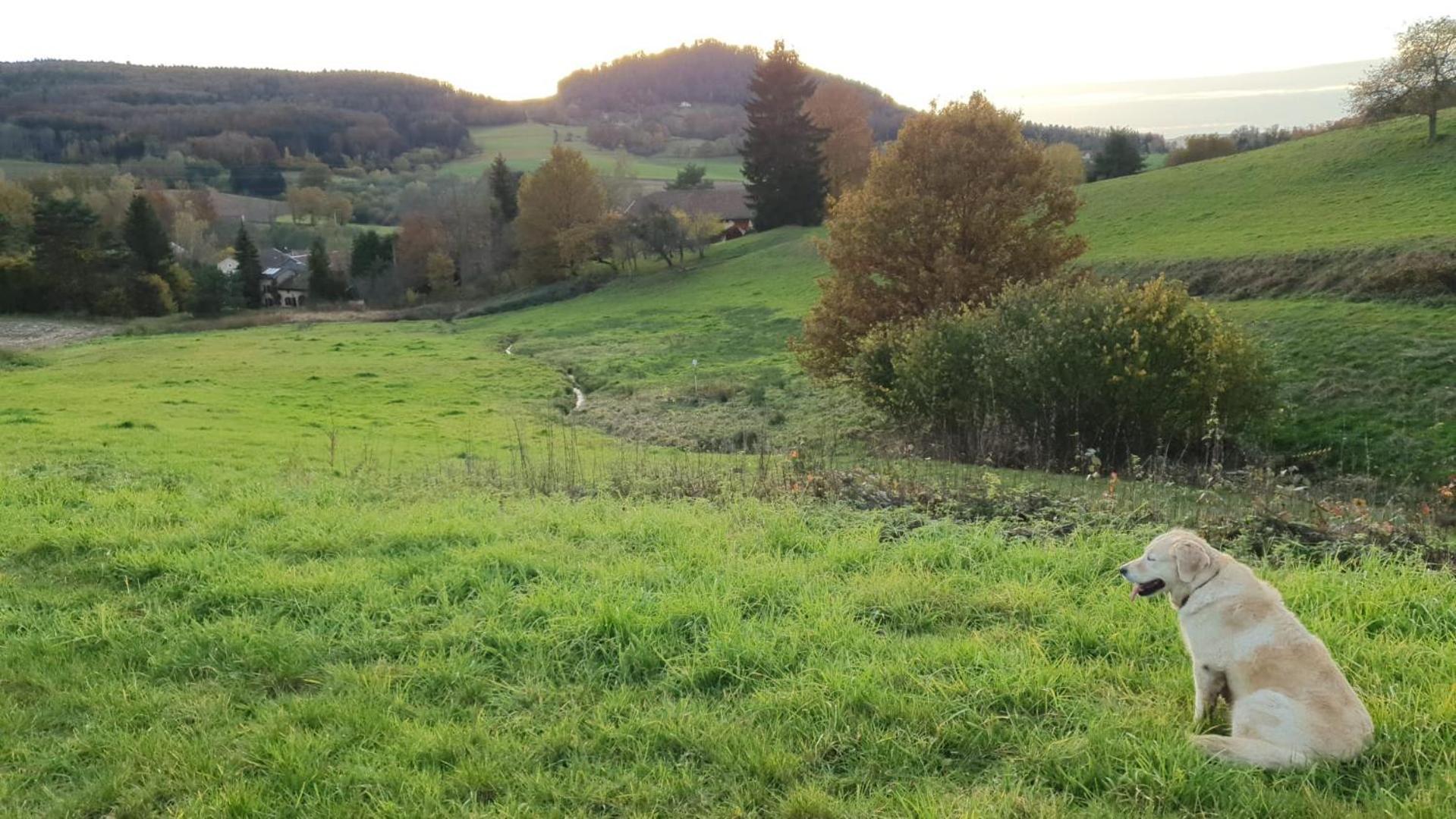 Appartamento S'Yvoux Plait La Chapelle  Esterno foto